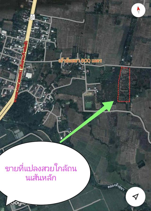 ขายที่ดิน ขายดินเมืองเพชรบุรณ์ ขายที่ดินอำเภอเมือง 11