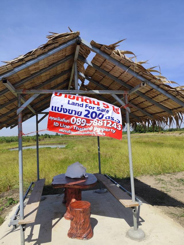 land for sale Nakhon Pathom ขายที่ดินเปล่าสวยมาก กำแพงแสน แบ่งขายได้ แปลง 5 ไร่ เหมาะทำหอพักนักศึกษา ใกล้ มหาลัยเกษตรศาสตร์ กำแพงแสน 3