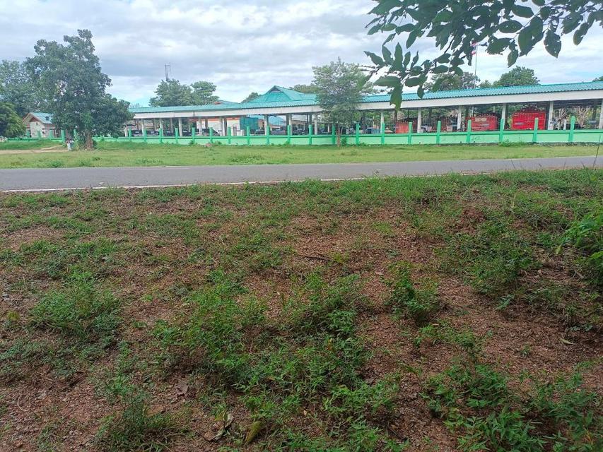 ขายที่ดิน 9-2-13 ไร่ ติดถนน ทำบ้านจัดสรรได้ ติดเทศบาล ตำบลเนินขาม อ.เนินขาม จ.ชัยนาท ขายถูกสุดในย่านนี้ 2