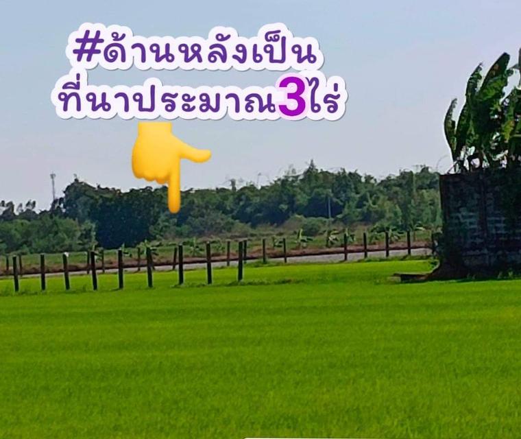 ที่ดินพร้อมสวน+ที่นา 10