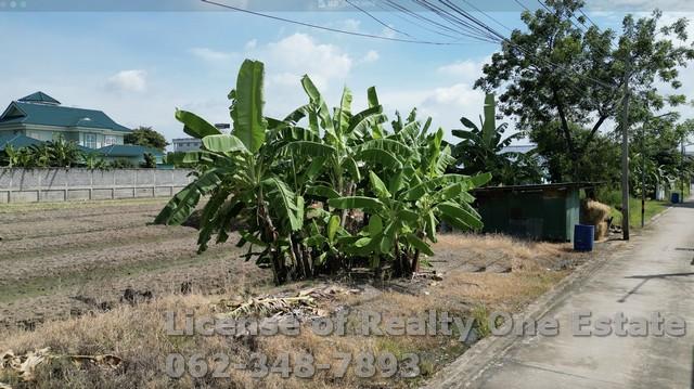 ขายที่ดิน ซ.สวนผัก ปทุมธานี ใกล้วัดหนองปรง ทำเลทอง ราคานี้หายากสุดๆ 6