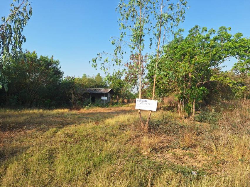 ขายที่ดินจังหวัด นครสวรรค์ ตำบลพนมรอก อำเภอท่าตะโก จำนวน 4 ไร่ 2 งาน 98 ตารางวา ติดถนน ขุดบ่อ มีบ้านพร้อมน้ำไฟ 2.5 ล้านบาท 2