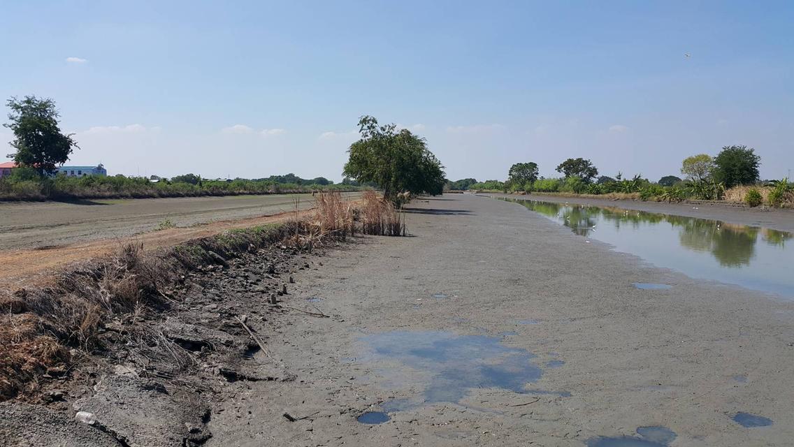 ที่ดินพร้อมโฉนด ถนนคุ้มเกล้า ลาดกระบัง เกือบ 50 ไร่ โดยเจ้าของ 2