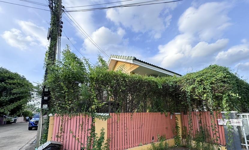 N182 ขายบ้านแฝดชั้นครึ่งบ้านหลังมุม พร้อมเฟอร์ หมู่บ้านสินทรัพย์ 2 ถนนรังสิตนครนายกคลอง 4 บ้านหลังมุมน่าอยู่ตกแต่งแนวสวนแบบธรรมชาติ มีพื้นที่ข้างบ้าน 1