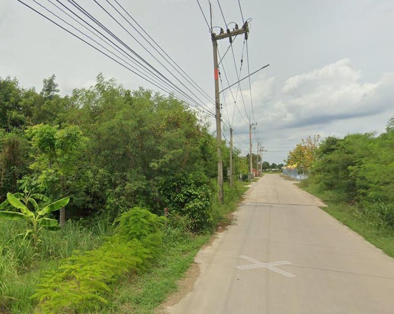 ขายที่ดินบางเตย แปดริ้ว 5 ไร่ ซอยอบต. ใกล้ถนนวงแหวนเลี่ยงเมือง365-6กม. เมืองฉะเชิงเทรา 5
