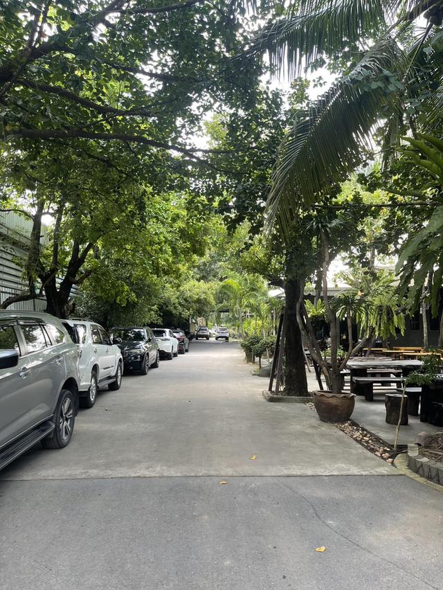 ขายที่ดินเปล่าติดถนน 2 ไร่ครึ่ง ใกล้ซาฟารีเวิลด์ 3