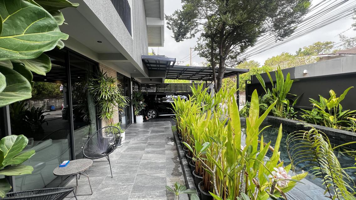 ขายด่วน! บ้านเดี่ยวไซส์ใหญ่ 86 ตร.ว. (พื้นที่ใช้สอย 250 ตร.ม.) พร้อมสระว่ายน้ำส่วนตัว ทำเลทอง ซอยปรีดี พนมยงศ์ 15 แยก 2 3