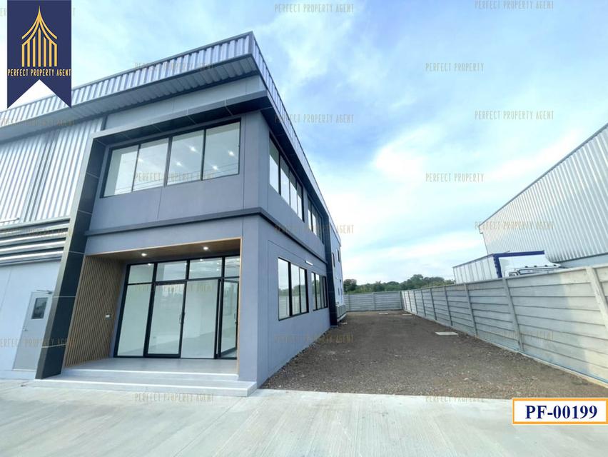 New Factory for sale สีม่วงเข้ม หลายขนาด ลำลูกกา ปทุมธานี 13