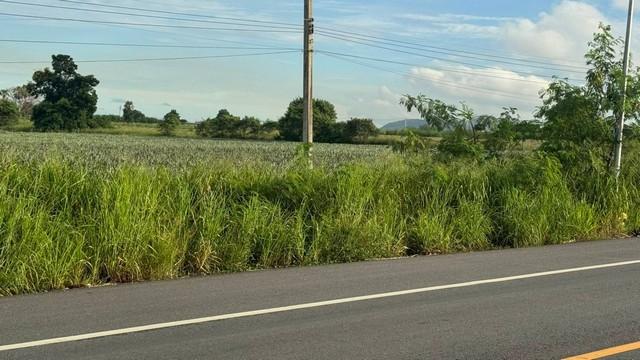 ขายที่ดินนิคมพัฒนาระยอง 48 ไร่ (2 โฉนด) ผังม่วงลาย ยู่ใกล้แหล่งอุตสาหกรรม