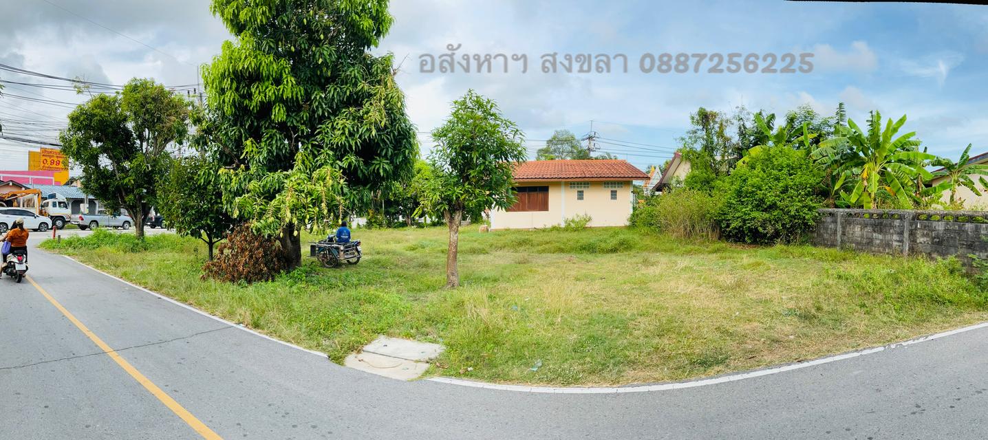 ที่ดินแปลงมุม ทำเลสวย สิงหนคร สงขลา 2 งาน 64.8 ตรว. ติดถนน 3 ด้าน 4