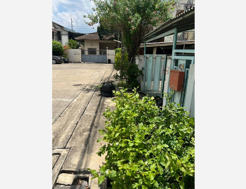 ขายบ้านเดี่ยวจตุจักร เลขที่ 101 ซอยพหลโยธิน 19/1 เขตจตุจักร เนื้อที่ 56 ตร.วา 3 ห้องนอน 3 ห้องน้ำ ใกล้เซ็นทรัลลาดพร้าว 2