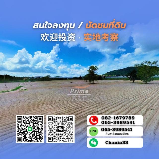 ที่ดินผังม่วง สำหรับสร้างโรงงาน พื้นที่ 95 ไร่ ระยอง 8