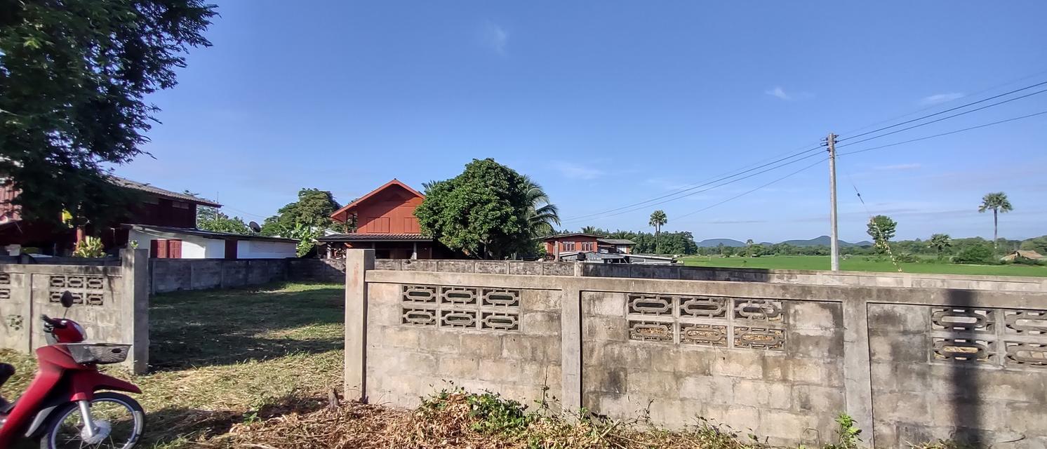 ที่สำหรับสร้างบ้าน 115ตรว 490,000อยู่บ้านนาแก้วตะวันออก ต.นาแส่ง อ.เกาะคา จ.ลำปาง วิวเขา วิวทุ่งนา อยู่กลางชุมชนห่างถนนพหลโยธิน 80เมตร ห่าง7-1 18