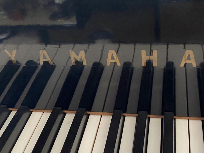 ขาย Yamaha Grand piano ราคา 90,000บาท 11