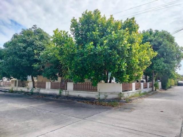 ให้เช่าบ้านเดี่ยว พานาปาร์ค3 หนองกะขะ พานทอง ชลบุรี บ้านเดี่ยวเนื้อที่ 60 ตารางวา 3ห้องนอน 2ห้องน้ำ มีที่จอดรถ แอร์ 2 ตั 2