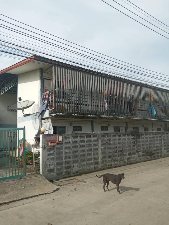 โรงงานพร้อมห้องเช่า 4