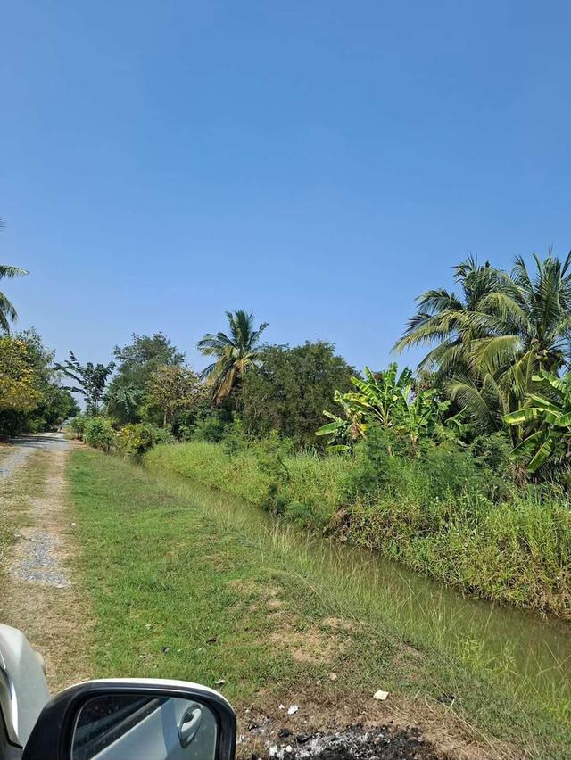 ที่ดินทำเลดี8ไร่เหมาะกับการทำการเกษตร ซื้อเก็บหรือปล่อยต่อในอนาคต 4