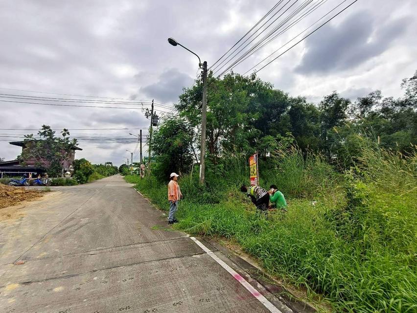 ที่ดิน 6