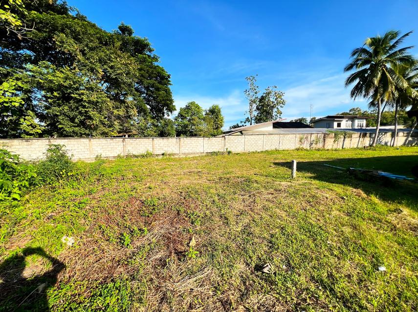 ขายที่ดินเปล่าเนื้อที่ 282 ตารางวา บ้านป่าข่า ตำบลหัวง้ม อำเภอพาน จังหวัดเชียงราย 11