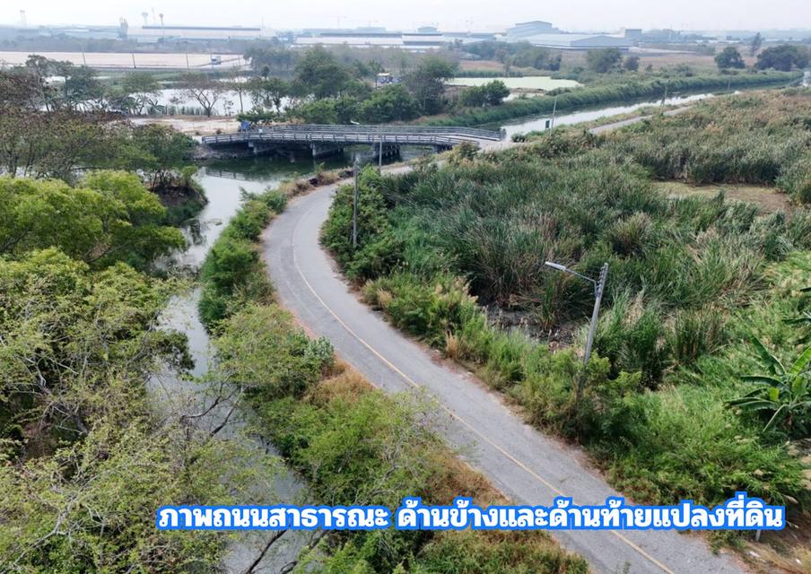 ขายที่สีม่วง 46 ไร่ ใกล้ถนนเลียบมอเตอร์เวย์ สาย 7 ใกล้นิคมอมตะ ชลบุรี  ต.บางนาง อ.พานทอง จ.ชลบุรี 2