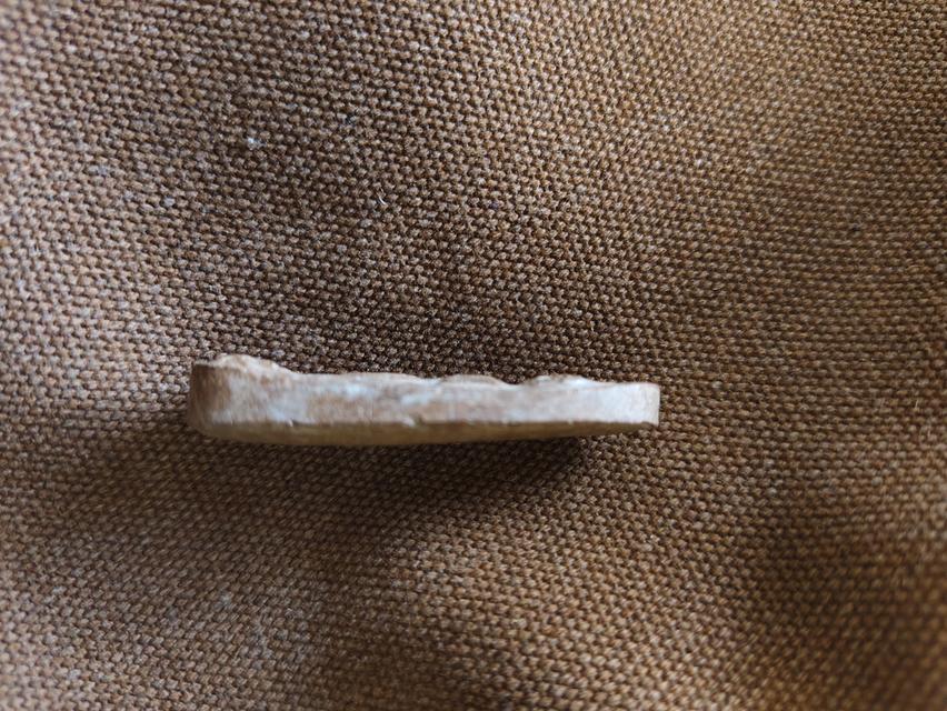 พระลีลา เม็ดขนนชุ่มกำแพง 4