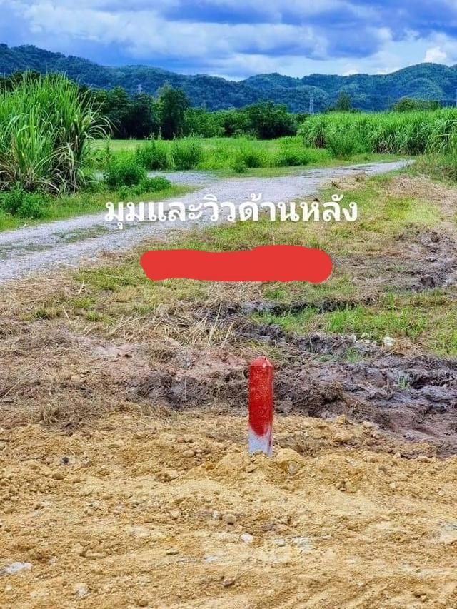 ที่ดิน 200ตารางวา เขากระปุก ท่ายาง เพชรบุรี 5