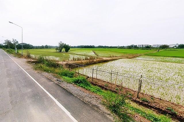 2 ขาย ที่ดิน ที่ดิน พิจิตร ใกล้กับ สถานีรถไฟพิจิตร พิจิตร เมืองพิจิตร 880000 บาท 3 ไร่ 1200 ตารางวา 4