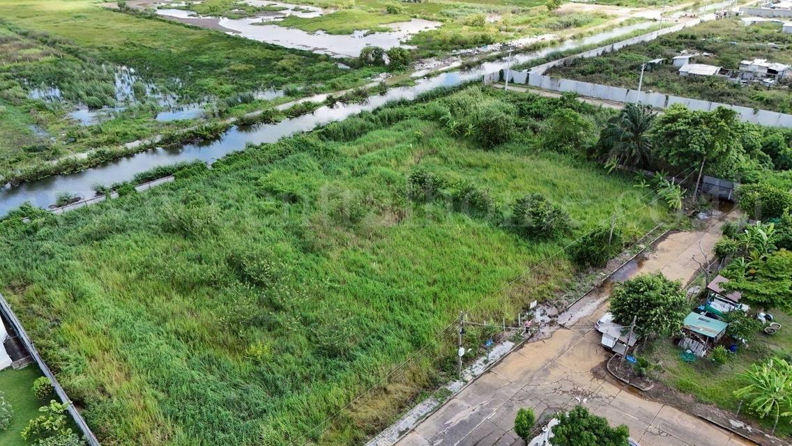 ที่ดิน 316 ตร.วา ถมแล้ว หมู่บ้านกฤษดานคร 19 - คลองหลวง 1  6