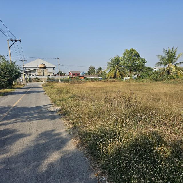 ที่ดิน ตำบลขุนศรี อำเภอไทรน้อย จังหวัดนนทบุรี