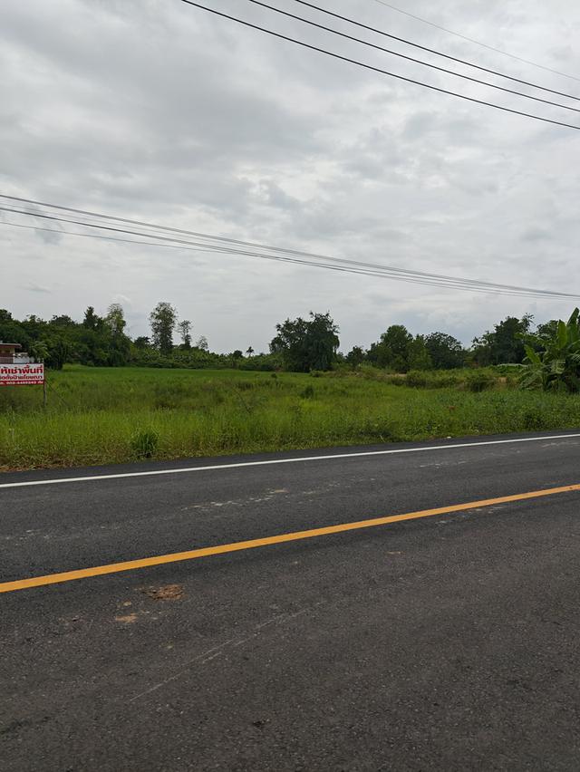 ขายที่ดิน2ไร่ ติดถนน นครนายก 9