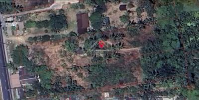 ที่ดินเปล่า ถมแล้ว 2-0-83.9 ไร่ ติดถนนใหญ่ ปากพูน นครศรีธรรมราช แปลงสวย 7