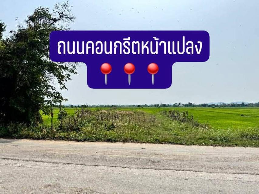 ที่ดิน 3 ไร่อำเภอแม่จันจังหวัดเชียงราย