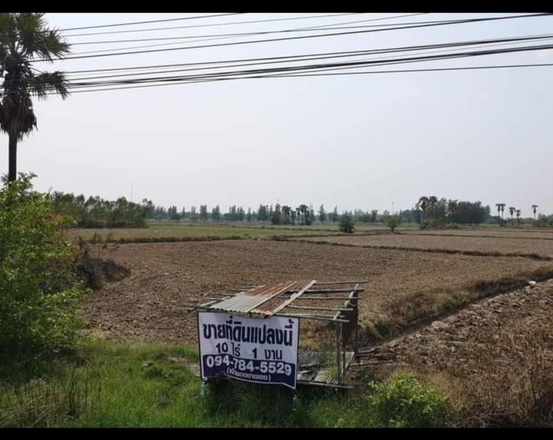 ที่ดินโฉนดครุฑแดง อ.โนนสูง จ.นครราชสีมา ติดถนนมิตรภาพ 1
