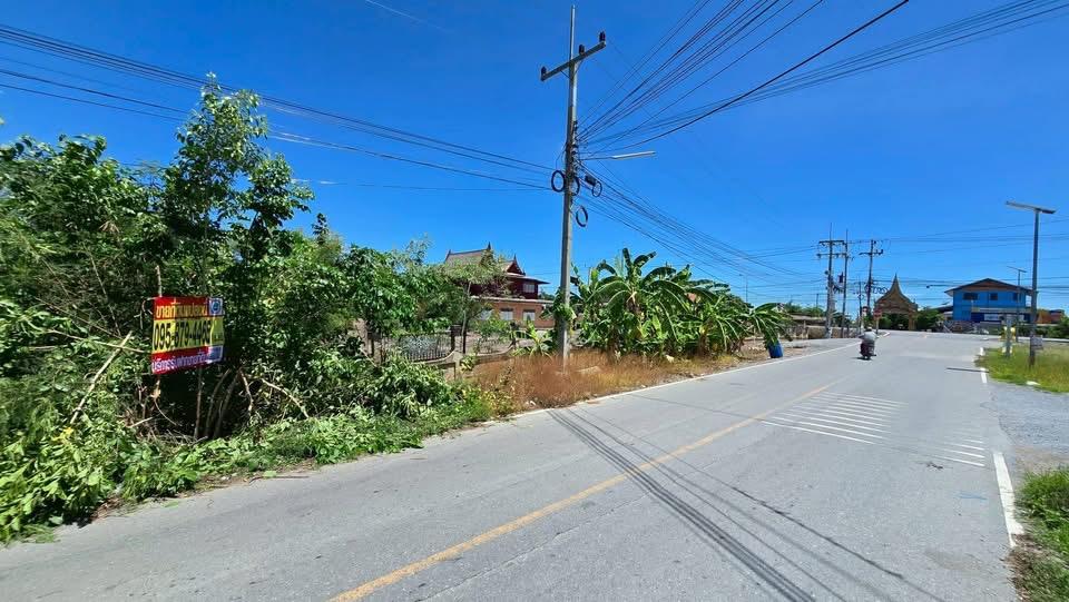 ขายด่วนที่ดิน 3 ไร่  ติดถนน3422(ลาดบัวหลวง-วัดไผ่โรงวัว) บางเลน นครปฐม 2