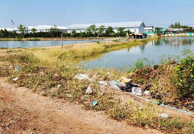 ขายที่ดิน 83 ไร่ ดอนหอยหลอด ตำบลบางจะเกร็ง อำเภอเมือง สมุทรสงคราม 4
