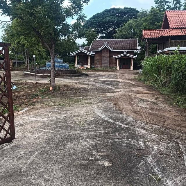 ที่ดินพร้อมสิ่งปลูกสร้าง ใกล้ศาลากลางจังหวัดเชียงใหม่ ต.ดอนแก้ว อ.แม่ริม 6