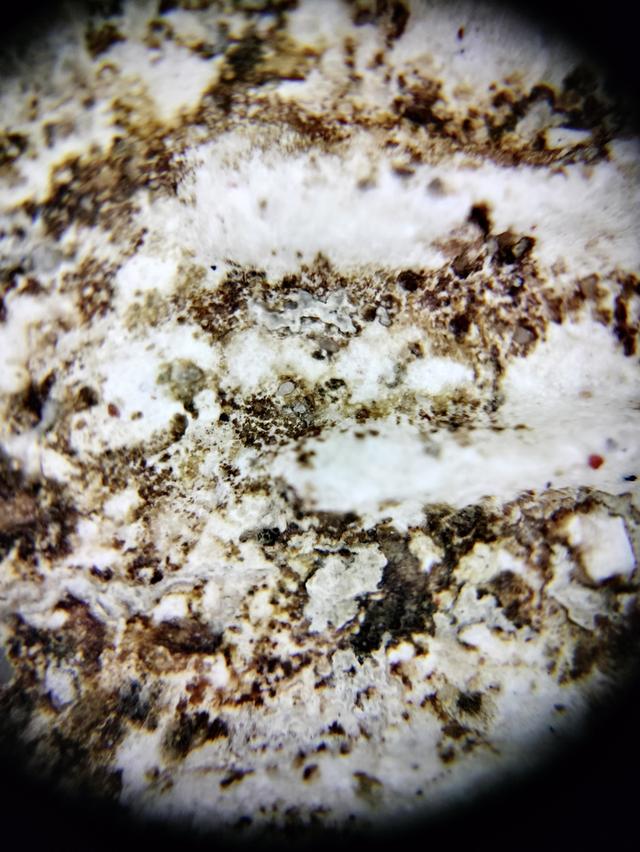 Phra Somdej Wat Rakhang รูปที่ 5