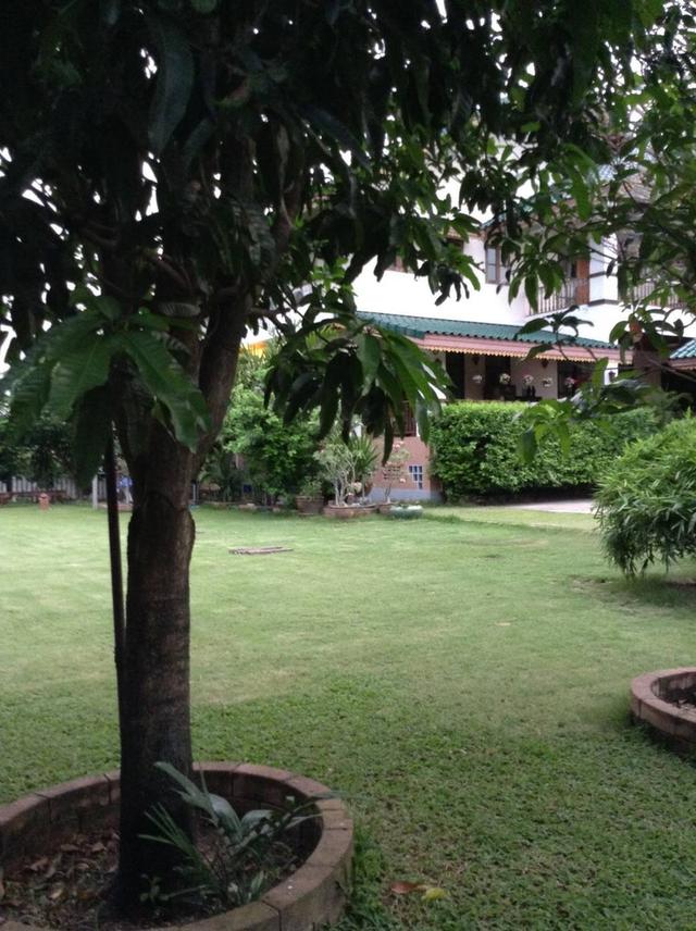 ขายบ้านพร้อมที่ดิน 400 ตรว. 40×40ม. แปลงหัวมุมบ้านปลูกเต็มเนื้อที่ 200 ตรว. สนาม 200 ตรว. (ลงเข็มเจาะไว้บนที่ดิน100ตรว พร้อมที่ดินพิพ์เขียว เผื่อครอบค 6