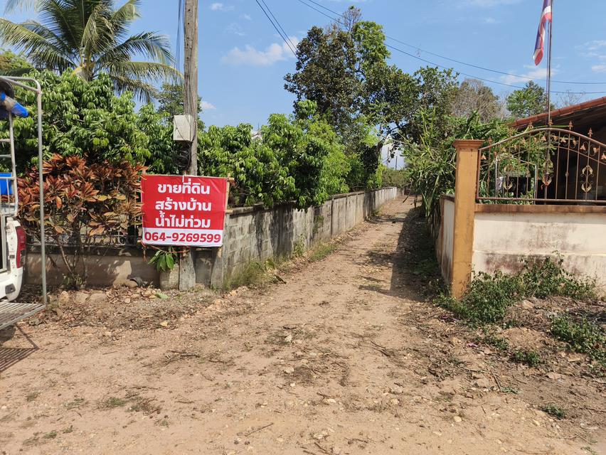 ขายที่สร้างบ้านน่าน ใกล้อำเภอเมือง น้ำไม่ท่วม 2