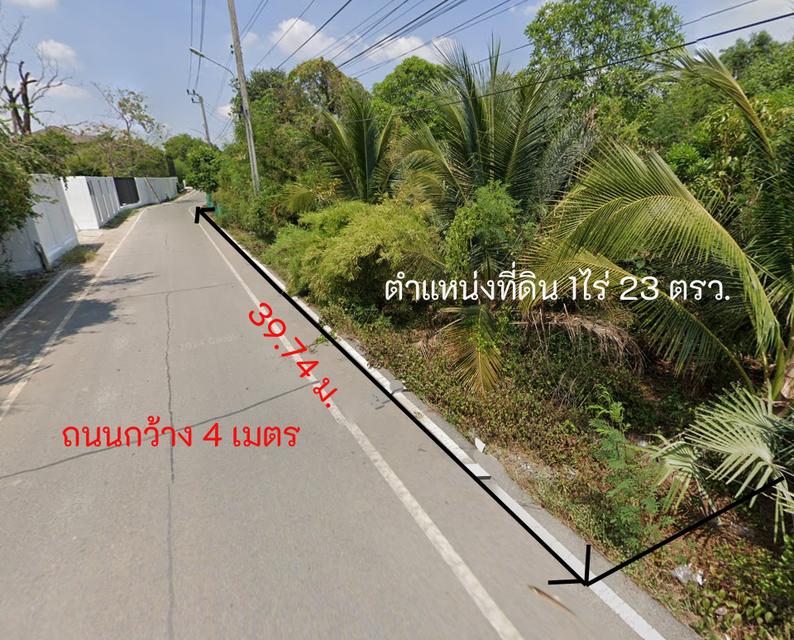 ขายที่ดิน ซอยเพชรหึงษ์ 44  ต.บางกอบัว อ.พระประแดง จ.สมุทรปราการ 3