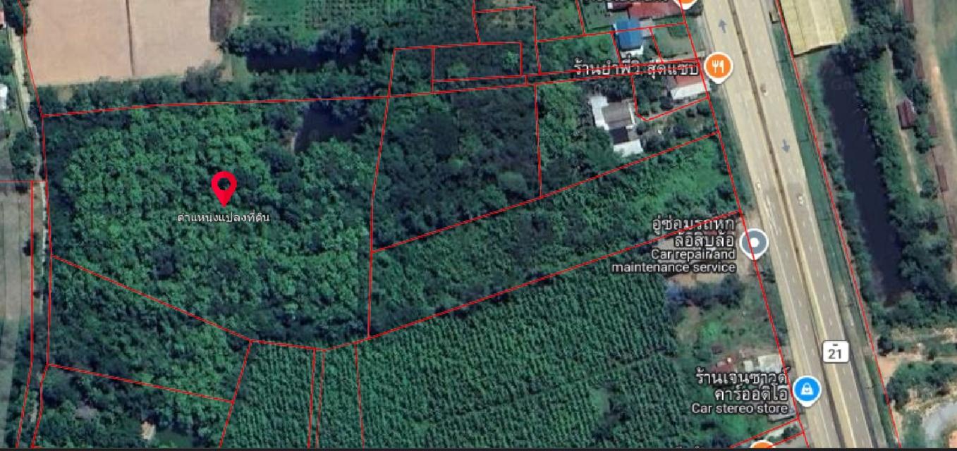 ที่ดินในพื้นที่ อำเภอหล่มเก่า จ.เพชรบูรณ์ 1