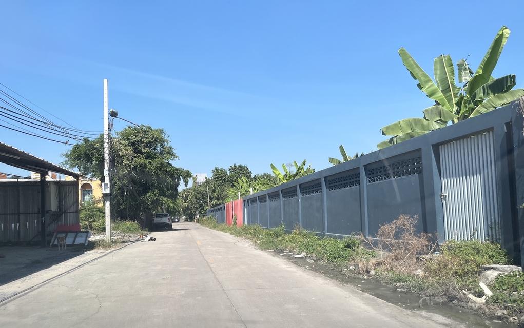 ขายที่ดิน 326 วา ใกล้ ม.รามคำแหง หัวหมาก 098 7755 808 10