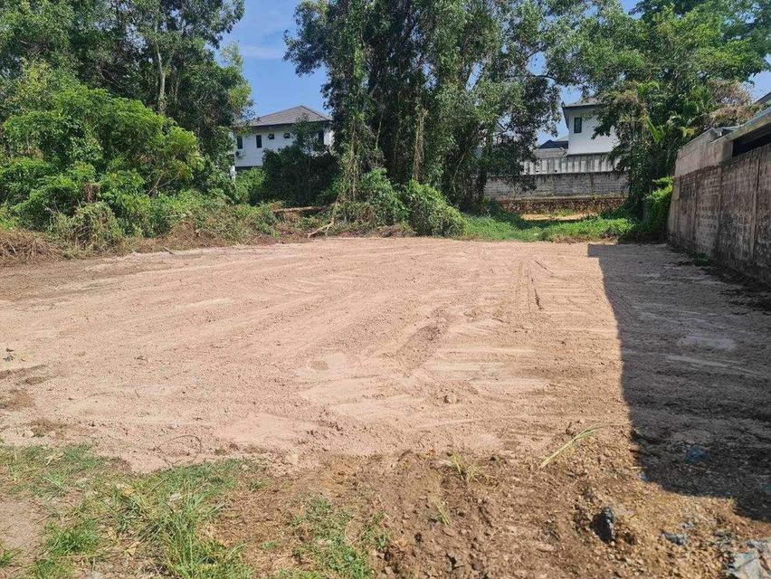 ขายที่ดินหนองปรือ พัทยา 80 ตรว. ซอยพรประภานิมิตร26 ใกล้อ่างเก็บน้ำมาบประชัน-4กม. อ.บางละมุง ชลบุรี 3