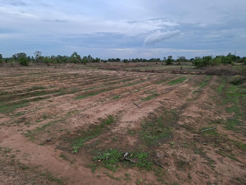 ืั้ที่ดิน อ.เขาย้อย จ.เพชรบุรี 29 ไร่ 2 งาน 4