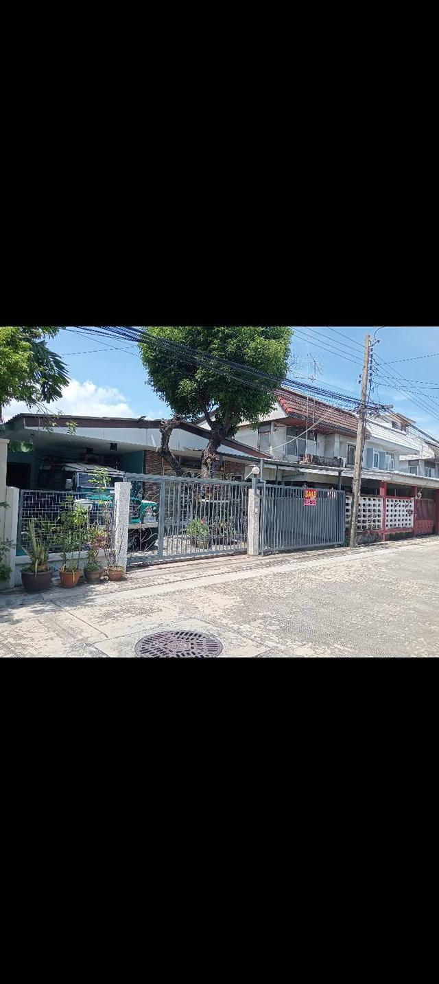 บ้านเดี่ยว 1