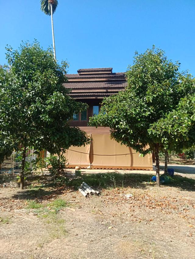 ขายที่ดินสวนผลไม้-บ้านเรือนไทย 1 หลัง 2