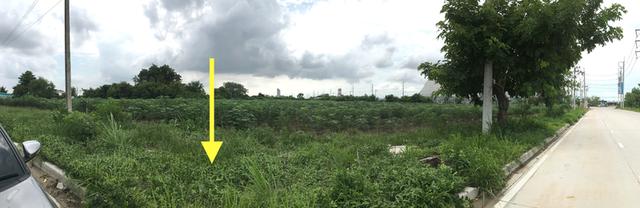 ขายที่ดินเนื้อที่ 5.5ไร่ใกล้ปั้ม ปตท.แยกส้มหล่น ผังเมือง EEC สีม่วงลาย ต.ห้วยโป่ง อ.เมืองระยอง ใกล้นิคมเอเชีย,นิคมมาบตาพุด 3