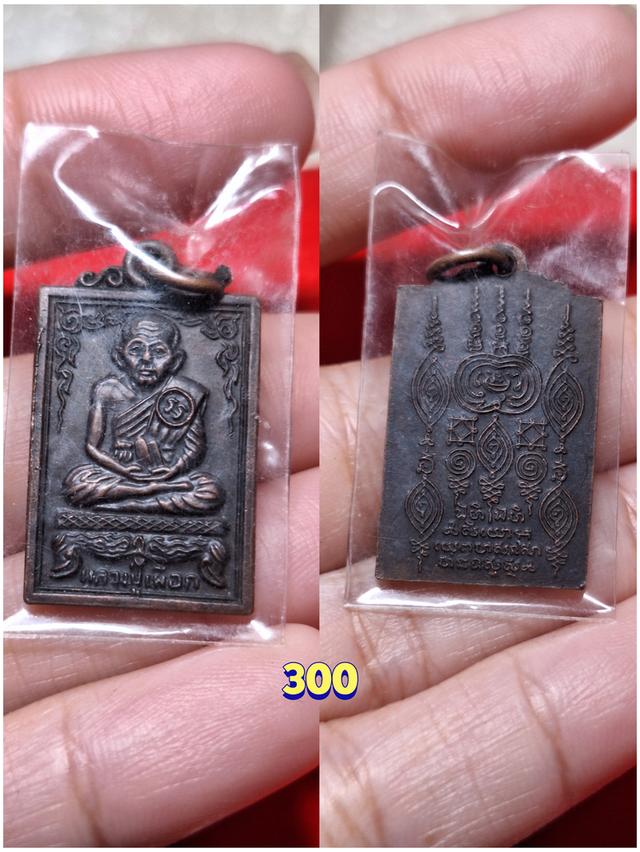 พระเครื่อง พระเหรียญ พาราเริ่มต้นหลักสิบ รูปที่ 10