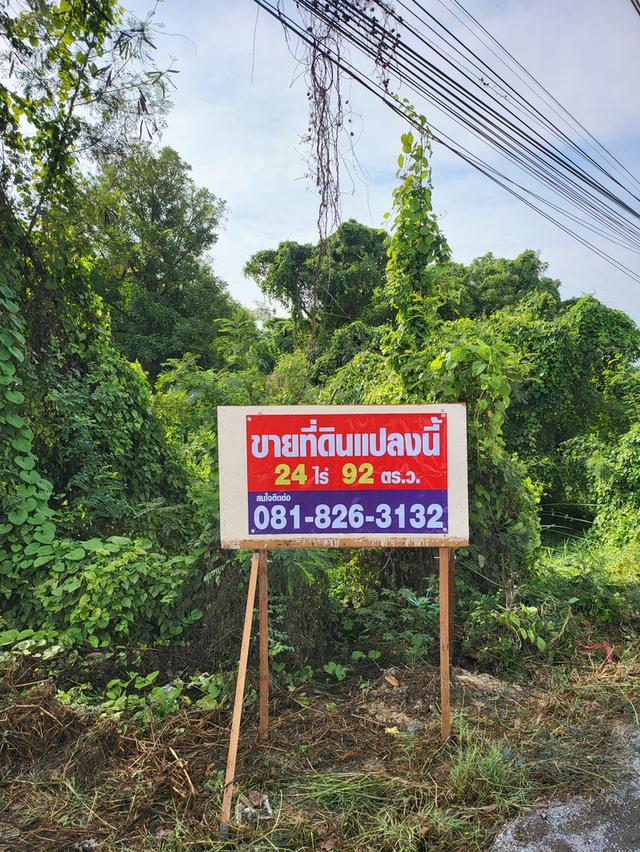 ขายที่ดิน คลอง13 ลำลูกกา ปทุมธานี 1