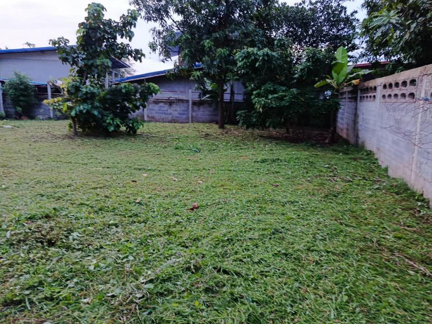 บ้านเดี่ยวชั้นเดียวหนองคาย 4